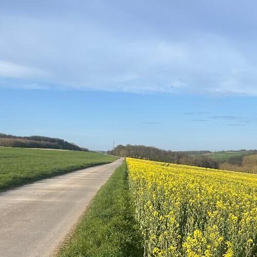 cropped-web-seite-wiese.jpg cropped-web-seite-wiese.jpg