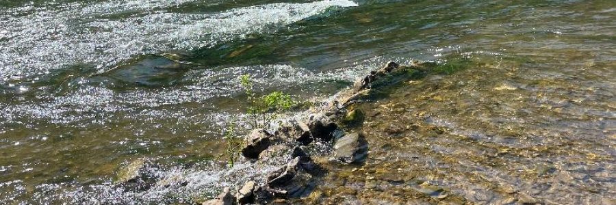 river river